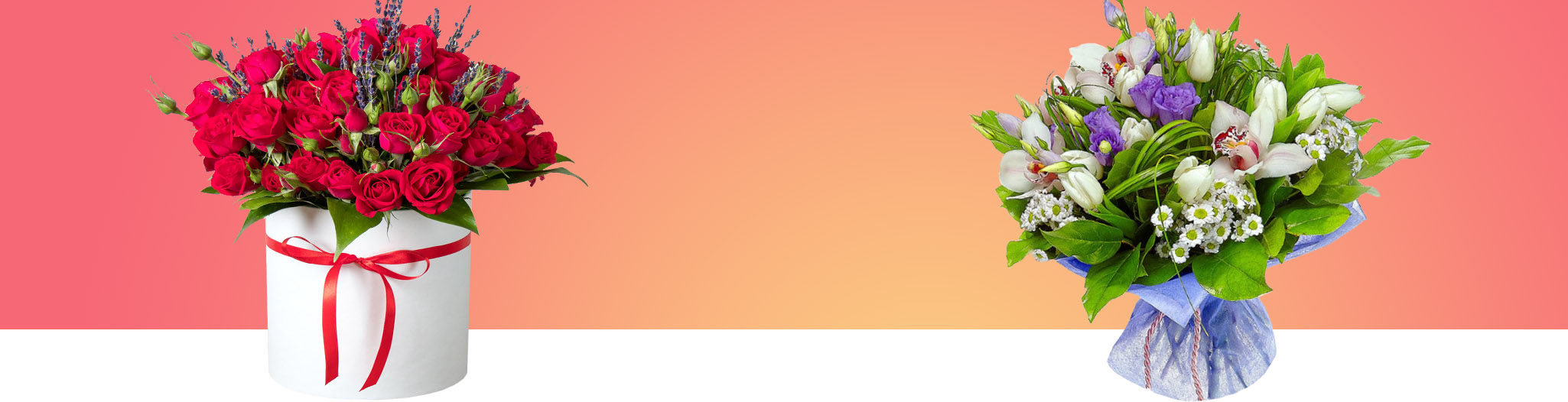 banner-4